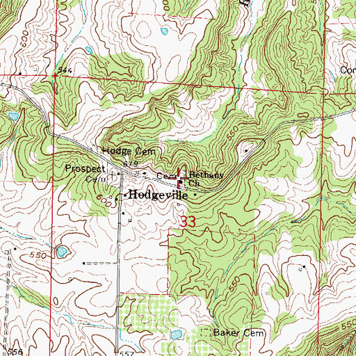 Topographic Map of Bethany Cemetery, IL