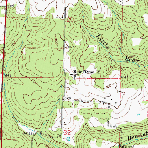 Topographic Map of New Home Cemetery, IL