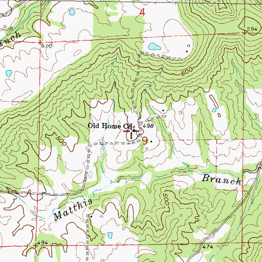 Topographic Map of Old Home Cemetery, IL