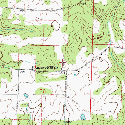 Topographic Map of Pleasant Hill Cemetery, IL