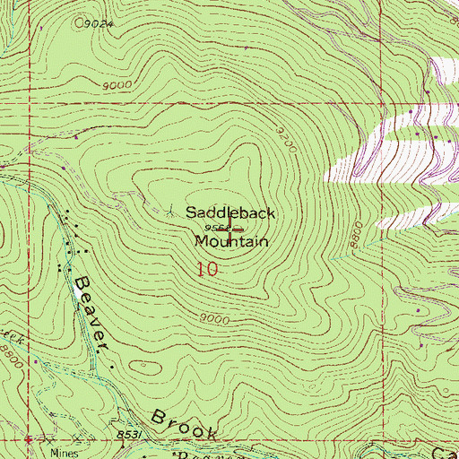 Topographic Map of Saddleback Mountain, CO