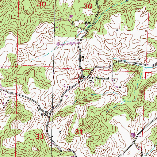 Topographic Map of Mount Pleasant Cemetery, IL