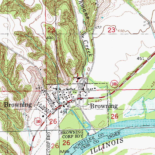 Topographic Map of Browning Elementary School, IL