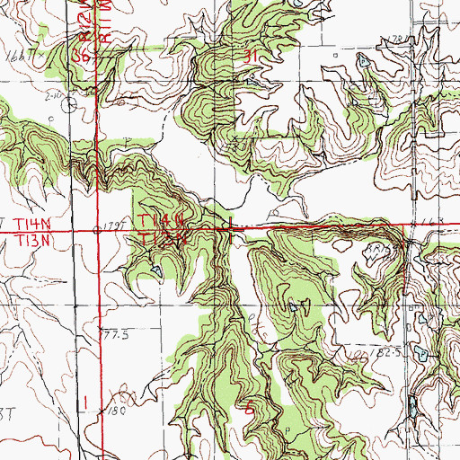 Topographic Map of Big Branch, IL