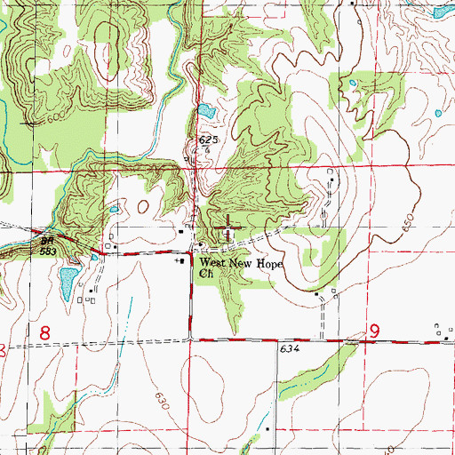 Topographic Map of New Hope Cemetery, IL