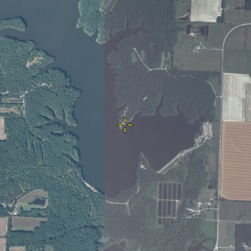 Aerial/Satellite Image of Rocky Point Beach, IL