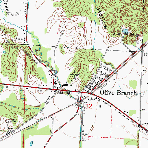 Topographic Map of Olive Branch Cemetery, IL