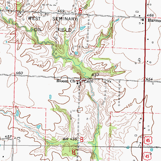 Topographic Map of Bloom Cemetery, IL