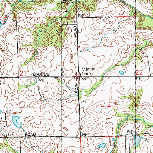 Topographic Map of Martini School (historical), IL
