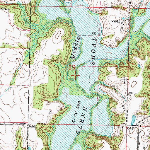 Topographic Map of Long Branch, IL