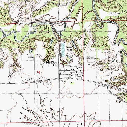 Topographic Map of Mount Zion Lutheran Cemetery, IL