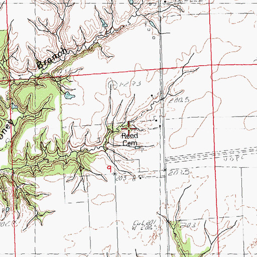 Topographic Map of Reed Cemetery, IL