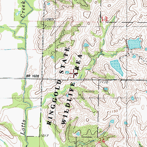 Topographic Map of Ringgold State Wildlife Area, IA