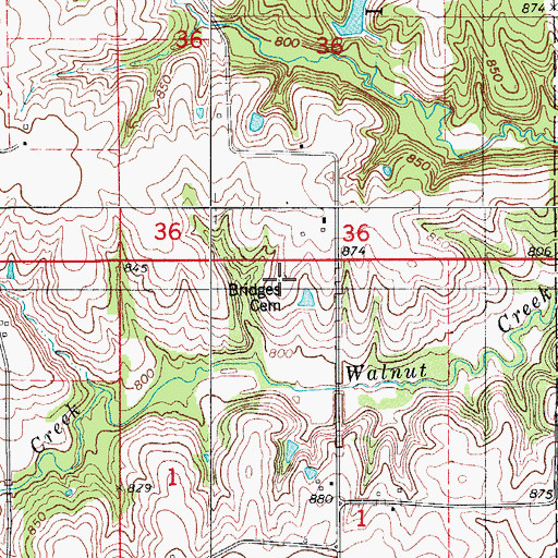 Topographic Map of Bridges Cemetery, IA