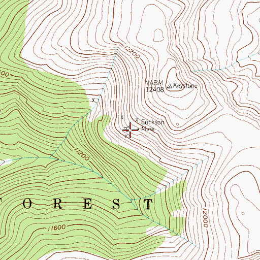 Topographic Map of Erickson Mine, CO