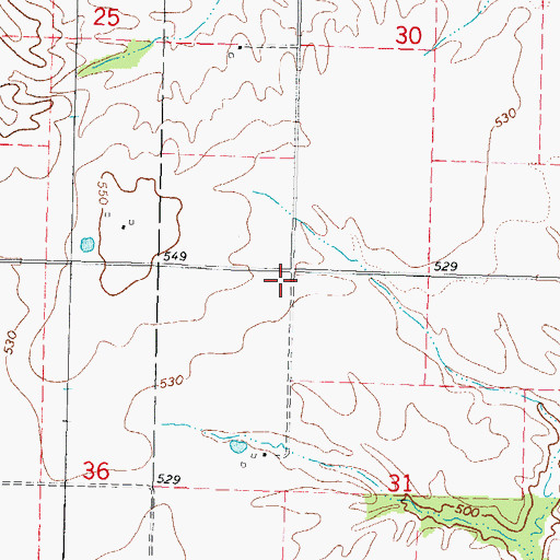 Topographic Map of Nuptial School (historical), IL