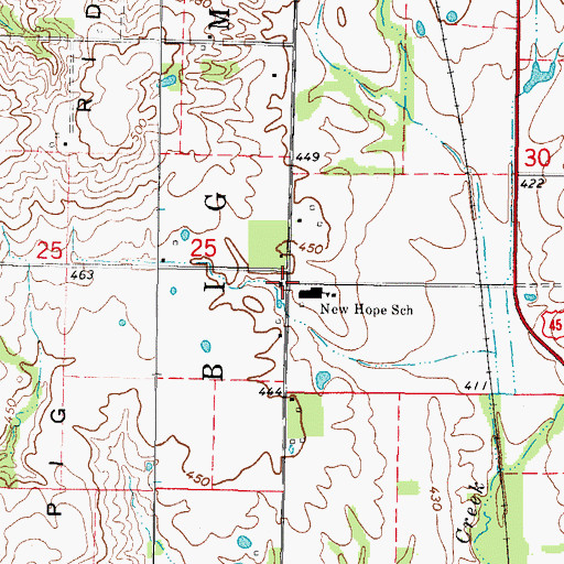 Topographic Map of New Hope Church, IL