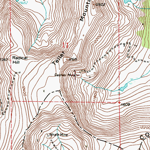 Topographic Map of Cashier Mine, CO