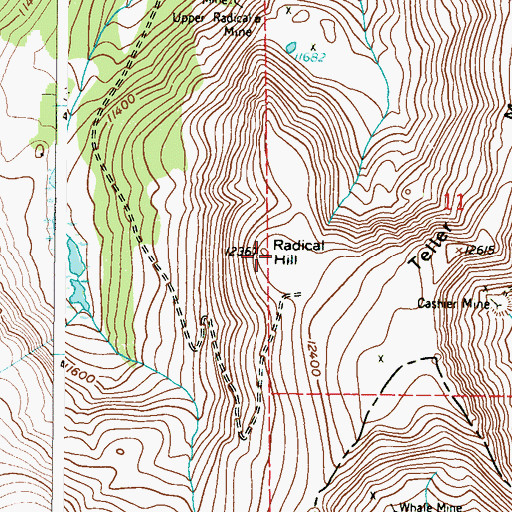 Topographic Map of Radical Hill, CO