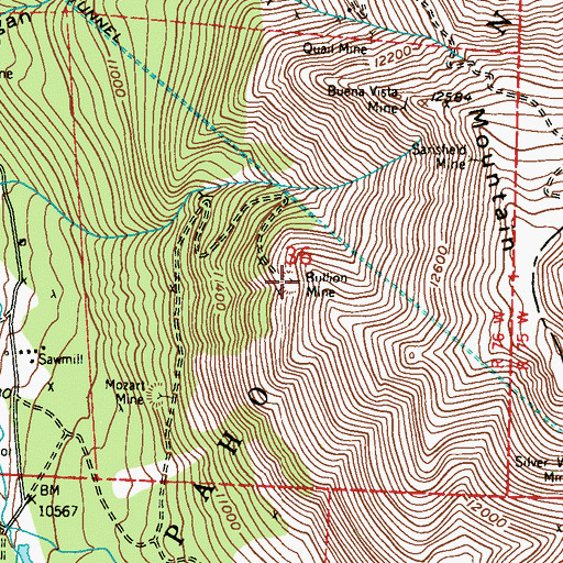 Topographic Map of Bullion Mine, CO