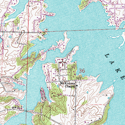 Topographic Map of Fopal, IL