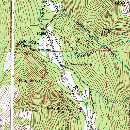 Topographic Map of New York Mine, CO