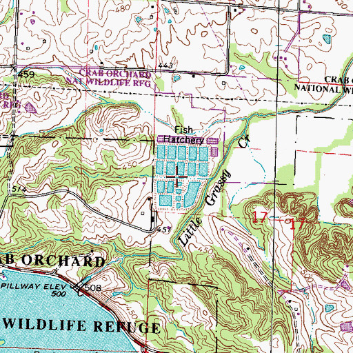 Topographic Map of Little Grassy Fish Hatchery, IL