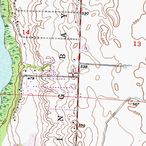 Topographic Map of Riverview Elementary School, IL