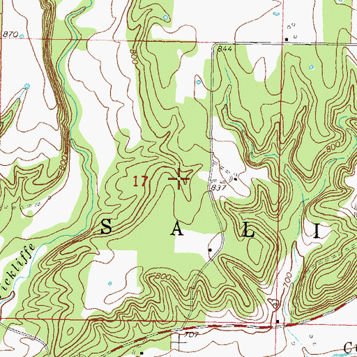 Topographic Map of Township of Saline, OK