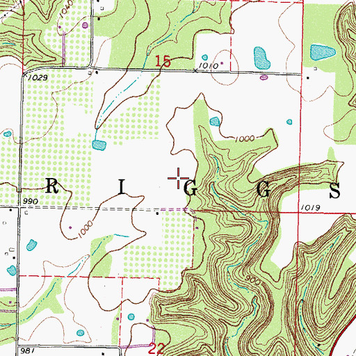 Topographic Map of Township of Briggs, OK