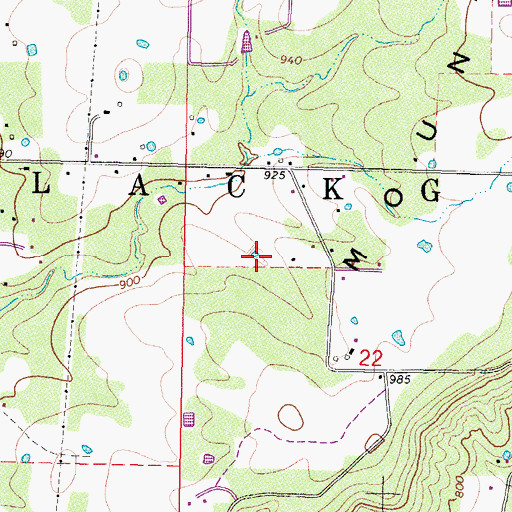 Topographic Map of Township of Blackgum, OK