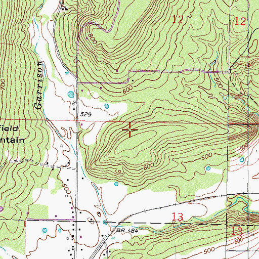 Topographic Map of Township of Roland, OK
