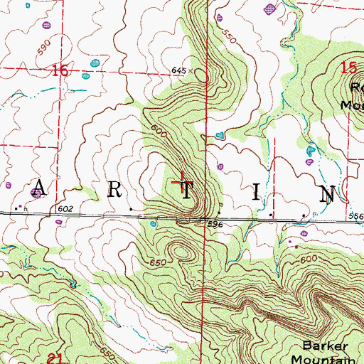 Topographic Map of Township of Martin, OK