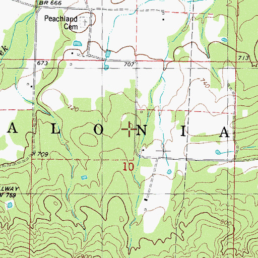 Topographic Map of Township of Salonia, OK