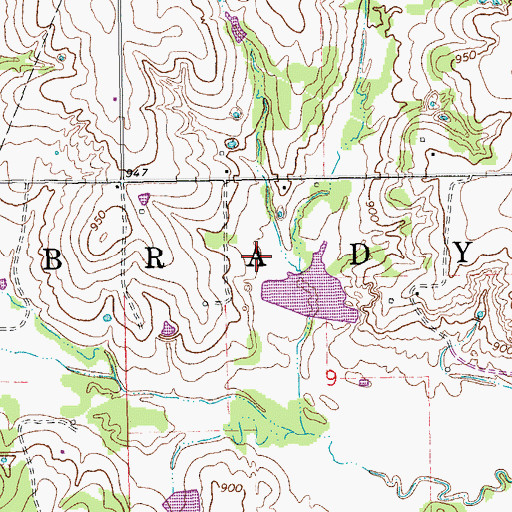 Topographic Map of Township of Brady, OK