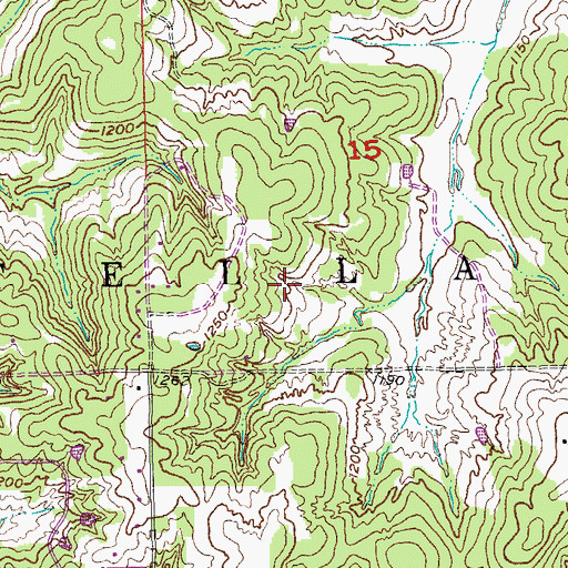 Topographic Map of Township of Stell, OK