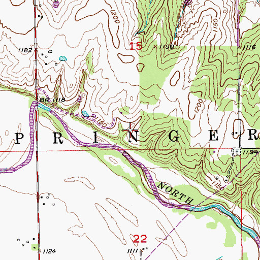 Topographic Map of Township of Springer, OK