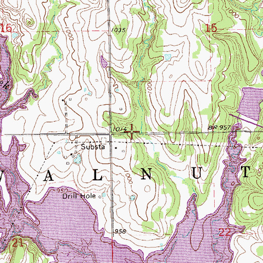 Topographic Map of Township of Walnut, OK