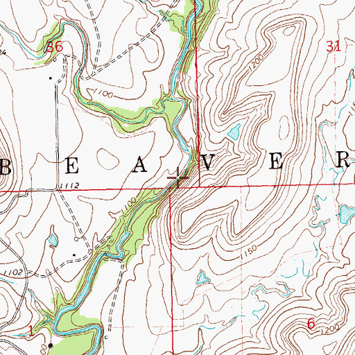 Topographic Map of Township of Brewer, OK