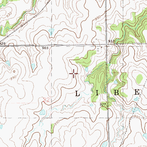 Topographic Map of Township of Liberty, OK