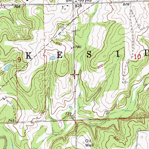 Topographic Map of Township of Lakeside, OK