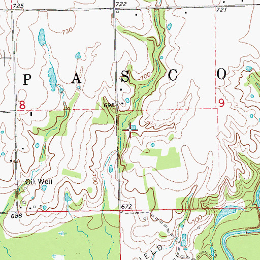 Topographic Map of Township of Pascoe, OK