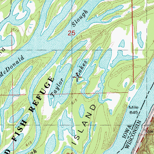 Topographic Map of Taylor Lakes, IA
