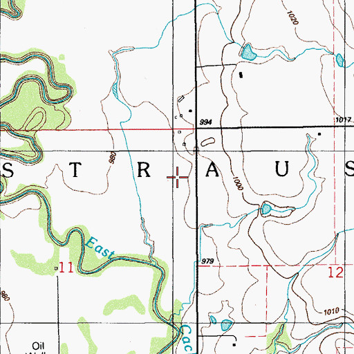 Topographic Map of Township of Strauss, OK