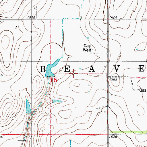 Topographic Map of Township of Beaver, OK