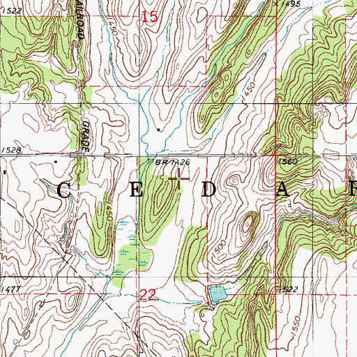 Topographic Map of Township of Cedar, OK