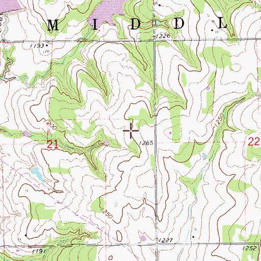 Topographic Map of Township of Middleberg, OK
