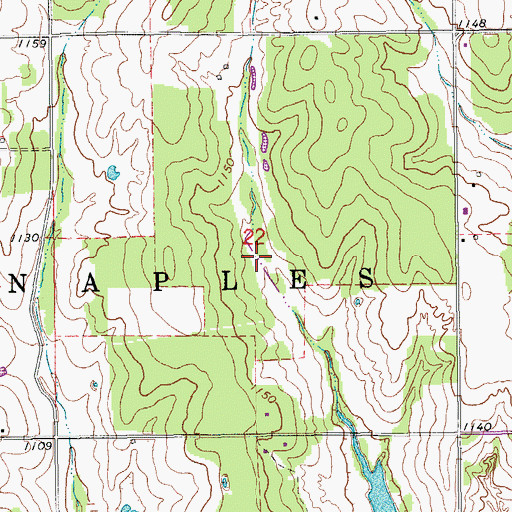 Topographic Map of Township of Naples, OK