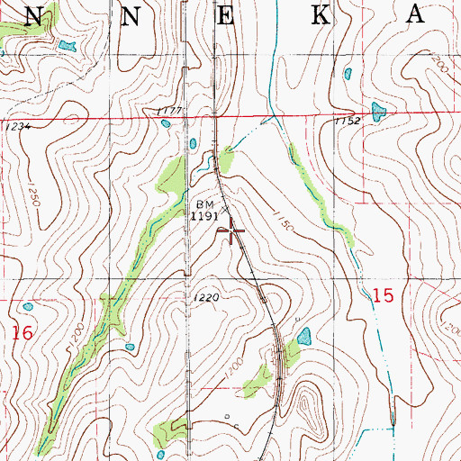 Topographic Map of Township of Ninnekah, OK