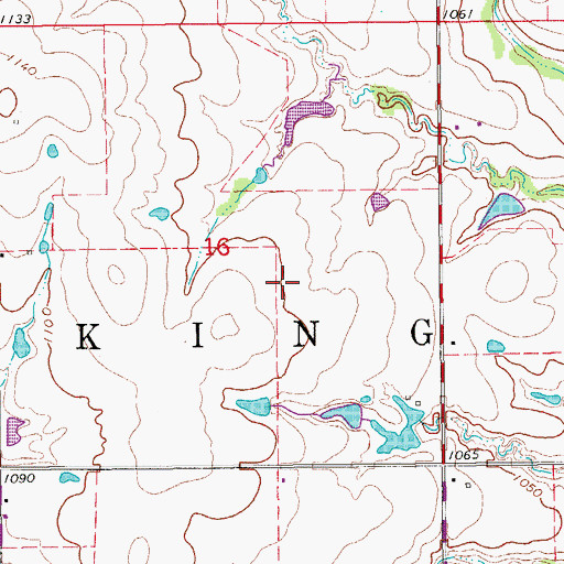 Topographic Map of Township of King, OK